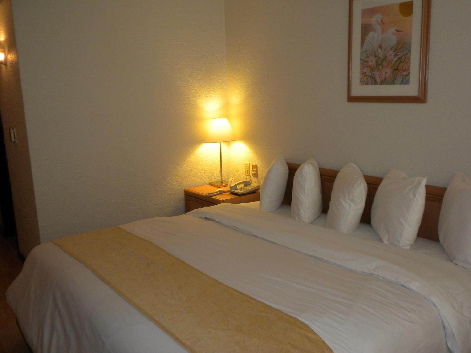 Hotel Pf Мехіко Екстер'єр фото