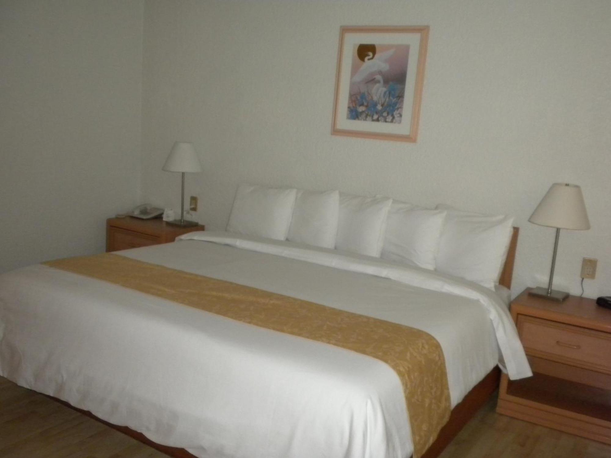 Hotel Pf Мехіко Екстер'єр фото