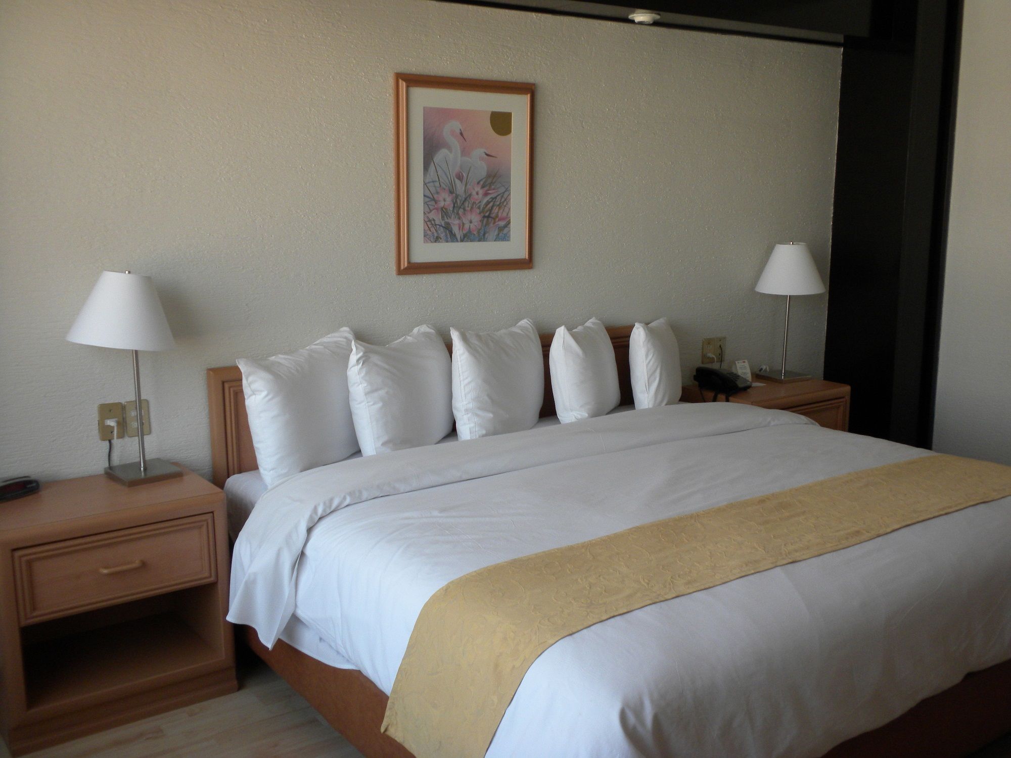 Hotel Pf Мехіко Екстер'єр фото