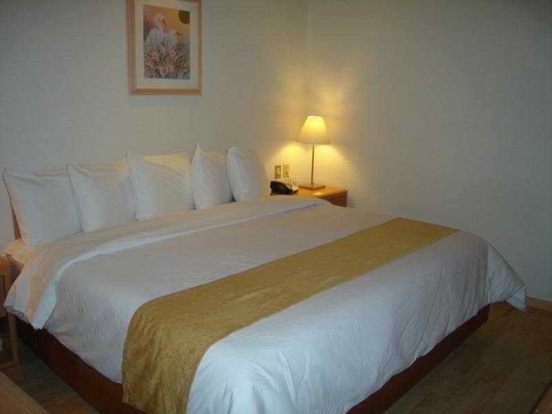Hotel Pf Мехіко Екстер'єр фото